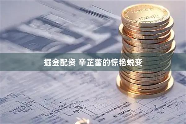 掘金配资 辛芷蕾的惊艳蜕变