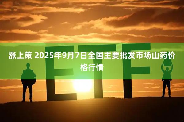 涨上策 2025年9月7日全国主要批发市场山药价格行情