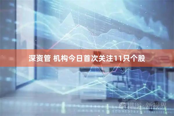 深资管 机构今日首次关注11只个股