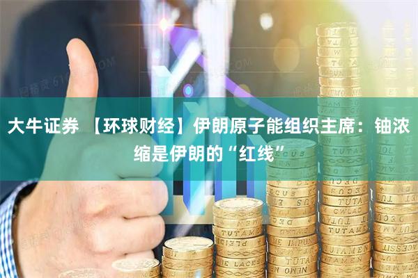 大牛证券 【环球财经】伊朗原子能组织主席：铀浓缩是伊朗的“红线”