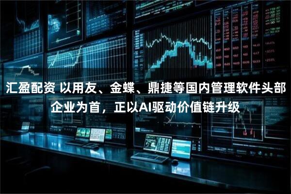汇盈配资 以用友、金蝶、鼎捷等国内管理软件头部企业为首，正以AI驱动价值链升级