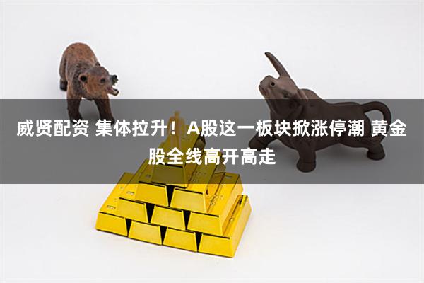 威贤配资 集体拉升！A股这一板块掀涨停潮 黄金股全线高开高走