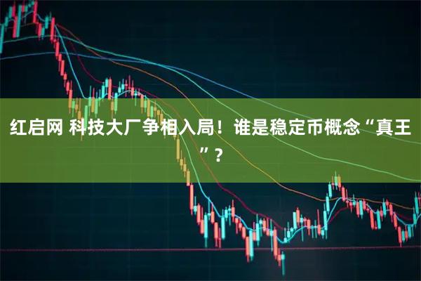 红启网 科技大厂争相入局!谁是稳定币概念“真王”?
