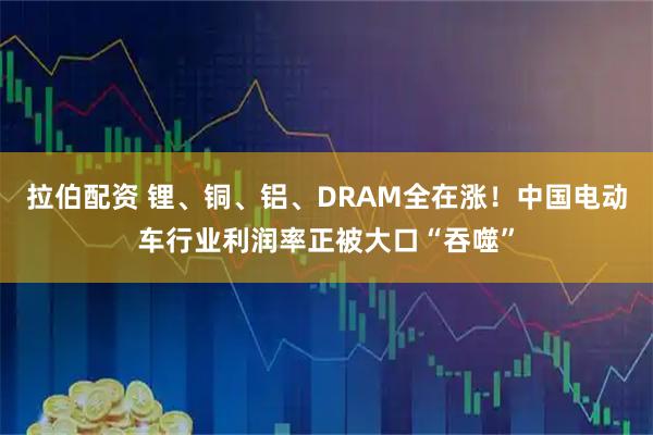 拉伯配资 锂、铜、铝、DRAM全在涨！中国电动车行业利润率正被大口“吞噬”