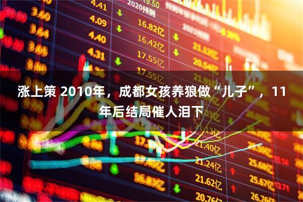 涨上策 2010年，成都女孩养狼做“儿子”，11年后结局催人泪下